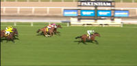 Willi Willi Returns With An Impressive 2nd Under Beau Mertens