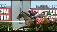 Mr Fergus Lands A Solid Mile Victory At Albury Under Nick Souquet