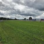 Stable Runners For Craig Widdison At Wangaratta On Tuesday