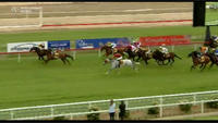 Fish Bones Fry Too Strong In Winning At Wagga
