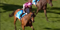 Mr Fergus Romps In Race 6 At Sandown Under Noel Callow