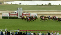 Zephora Wins First Time Out For Craig Widdison