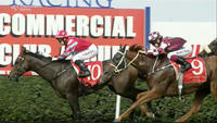 Widdison Set To Cash In At Wagga