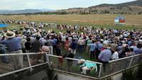 Blaze Of Glory To Run At Towong Under Jason Baldock