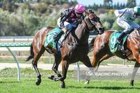Skye And Me Accepts To Run In The Last At Bet365 Park Kilmore On Thursday