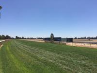 Ruby Red Socks To Compete At Echuca Under Jake Duffy
