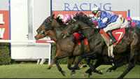 Wyangle & Nick Souquet Use Up Every Bit Of The Albury 1175m To Score A Narrow Win
