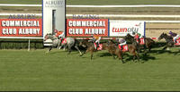 Northkape Runs 2nd At Albury Under Patty Scorse