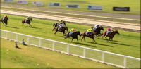 Collis Runs Third At Wodonga Under Nick Souquet