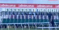 two runners to compete at Ladbrokes Park Lakeside (Sandown) meeting