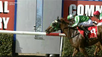 Nan's Lonhro Runs A Solid Race On Debut