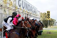 King Zoff A Likely Starter At Gundagai Adelong Club Meeting On Sunday