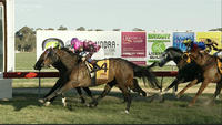 Wyangle Rated Beautifully By Souquet To Score At Cootamundra