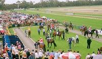 Two Stable Runners Compete At Bendigo On Wednesday