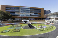 Willi Willi To Run At Randwick On Everest Day
