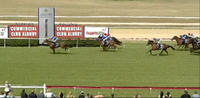 Two On Debut Run Well At Albury