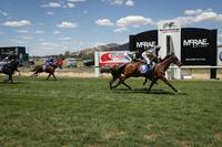 Think More & Tyson Returns To Compete Today At Wangaratta