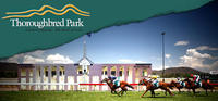 Ruby Red Socks & Skye And Me To Run At Canberra On Friday