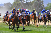 The Team Saddles Up A Treble At Wodonga