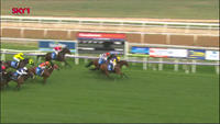 Banger Improves On A Recent Outing To Finish 2nd At Albury