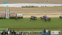 Lord Laurie Puts In A Solid Effort At Albury To Run Second At Odds
