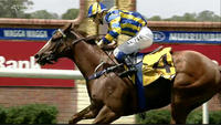 Purrpussful Gets Back To Some Form Under Wendy Peel At Wagga
