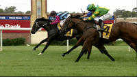 Lord Laurie Just Misses In Race 7 At Wagga