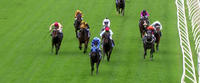Instruments Puts In A Nice Effort At Wangaratta Under Craig Robertson