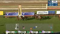 Willi Willi Puts In A Super Effort To Finish 3rd In The Wagga Gold Cup
