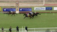 Baby Jack Arrives As The Runner Up In The Third At Wagga