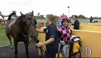 Baby Jack & Cash Crisis To Run At Wagga On Sunday