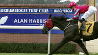 This Skilled Cat Cracks The Maiden In Fine Style At Start 5