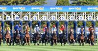 We Supply Runners To The Sportsbet Ballarat Synthetic On Tuesday