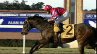 Cash Crisis Lands A Dominant Win In The Wagga Winter Sprint