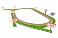 The Team Saddles Up For Racing At Corowa On Tuesday