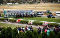 Miss Sharp To Run At Bet365 On Friday