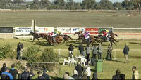 Quacky Jack Puts In A Good Effort In Running 2nd At Corowa Under Brian Murphy