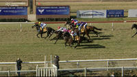 Baby Jack Appears Late On The Scene To Arrive In Third At Wagga