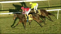 Magnavale wins at Wagga under Mathew Cahill in a class 2 over 1200m.