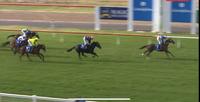 Miss Sharp Runs Out A Solid Staying Trip To Finish 2nd At Seymour