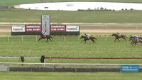 Sharlie Puts In A Solid Placing At First Career Start