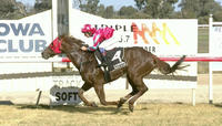 Ajay Wins His Maiden Under Nick Souquet In Fine Fashion