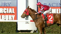 Straover To Run At Ladbrokes Hillside On Wednesday