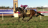 The Widdison Yard Accept With 2 Runners For Canberra