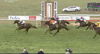 Wyangle Runs Third In This Years Narrandera Cup
