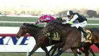 Shehroz Puts In A Solid Display Under A Calming Nick Souquet.