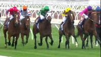 Toffee Doll Puts In A Solid Effort Her First Look At Metro Racing