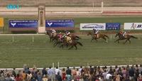 Cash Crisis Finishes As The Runner Up After The 3rd On The Wagga Card