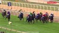 Wyangle Runs Third At Benalla In Fine Style At Odds