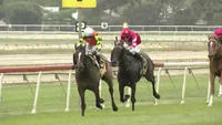 Halo Warrior Finishes 3rd Under Brodie Loy